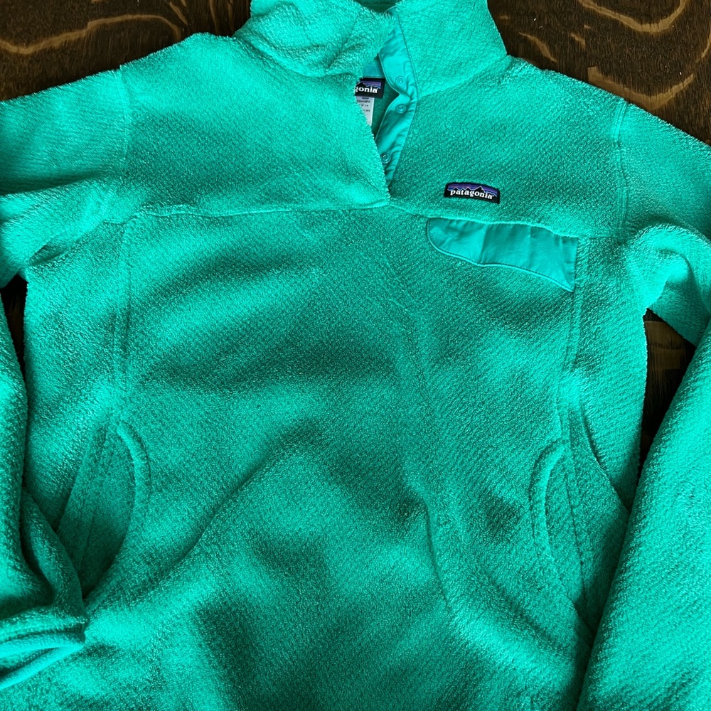 Patagonia retool Large